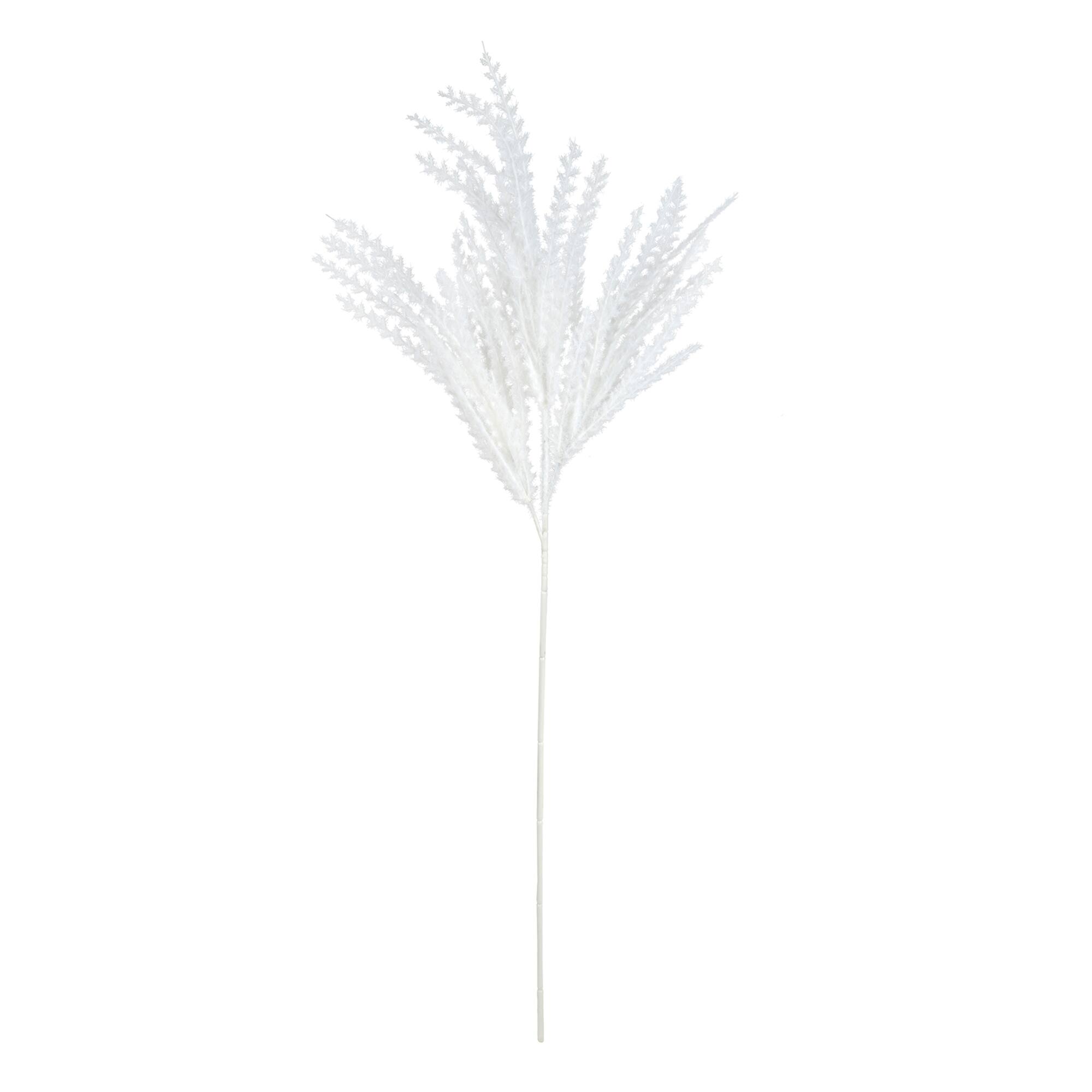 31" Pampas Grass Stem by Ashland